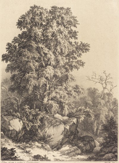 Buchenhain von Eugene Bléry