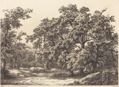 Eichen von Eugene Bléry