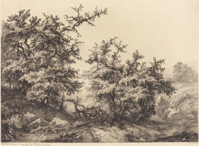 Dornbüsche von Eugene Bléry