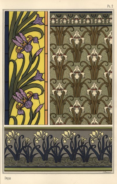 Die Iris in verschiedenen Mustern von Eugene Grasset