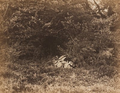 Ein Felsen im Wald von Eugène Cuvelier