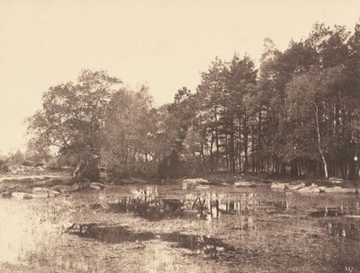 Sumpf am Piat Belle-Croix Plateau, ca. 1863 von Eugène Cuvelier