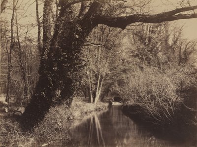 Parc de Courances von Eugène Cuvelier