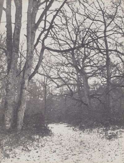 Straße im Wald von Eugène Cuvelier