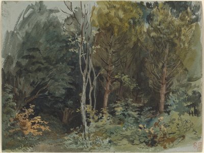 Der Rand eines Waldes in Nohant von Eugène Delacroix