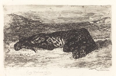 Schlafender Tiger in der Wüste, ca. 1830 von Eugène Delacroix