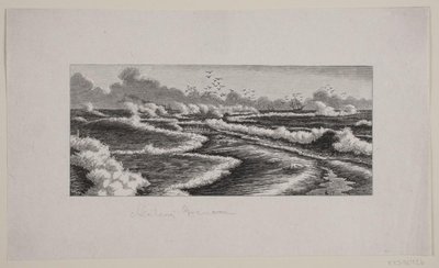 Skagens Gren von F. Hendriksen