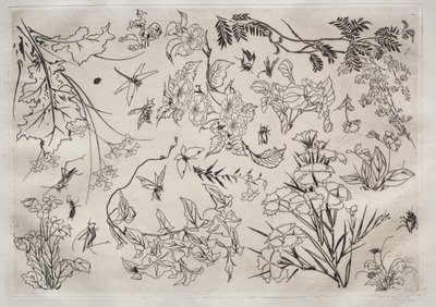 Tafelservice (Rousseau-Service): Blumen (Nr. 22) von Felix Bracquemond