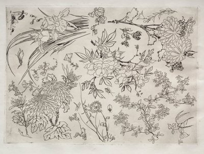 Tafelservice (Rousseau-Service): Blumen (Nr. 23) von Felix Bracquemond
