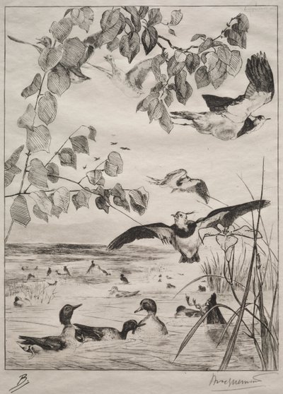 Kiebitze und Krickenten von Felix Bracquemond