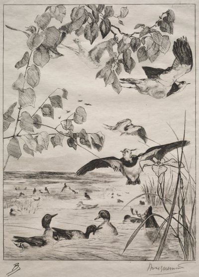 Kiebitze und Krickenten, 1862 von Felix Bracquemond