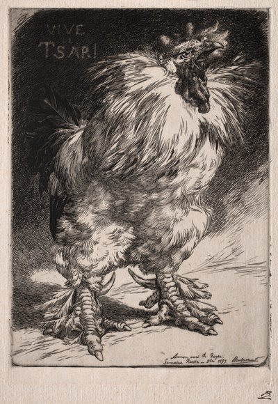 Der französische Hahn von Felix Bracquemond