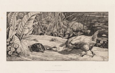 Der Unbekannte von Felix Bracquemond