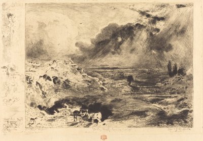 Der Sturm von Felix Hilaire Buhot