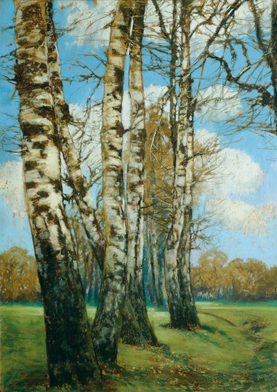 Birken von Ferdinand Engelmuller