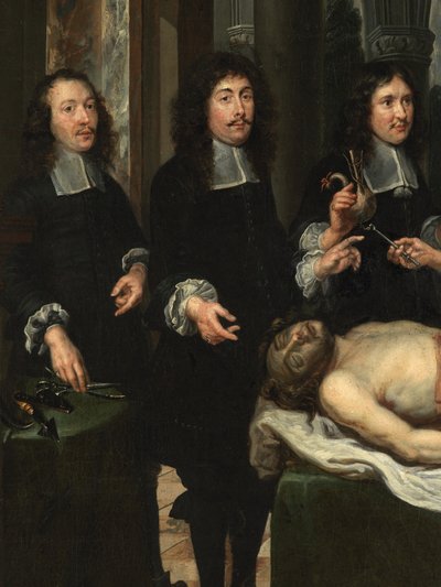 (Detail) Anatomieunterricht von Flemish School