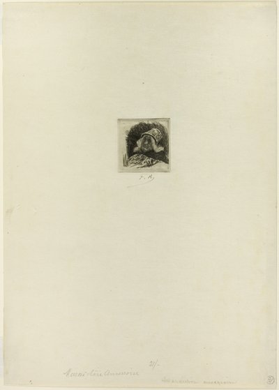 Flämischer Marktgärtner von Félicien Rops