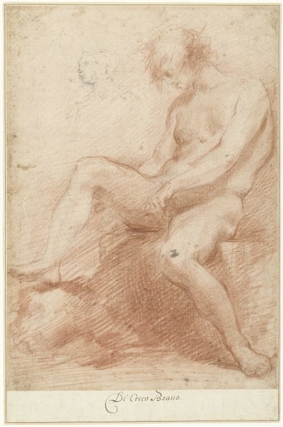 Studie eines männlichen Aktmodells von Francesco Montelatici