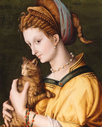 Dame mit einer Katze, ca. 1525-30 von Francesco Ubertini Bacchiacca