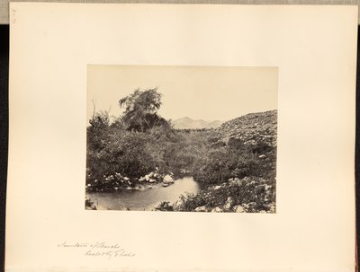 Brunnen von Jericho, geheilt von Elisa von Francis Frith