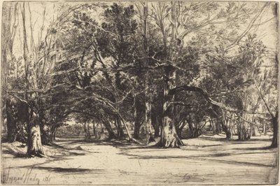 Ein Nebenweg in Tipperary von Francis Seymour Haden
