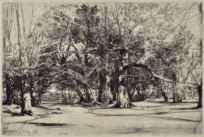Ein Nebenweg in Tipperary von Francis Seymour Haden