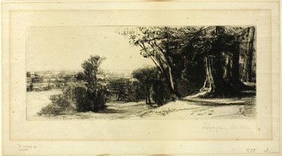 Früher Morgen, Richmond Park von Francis Seymour Haden