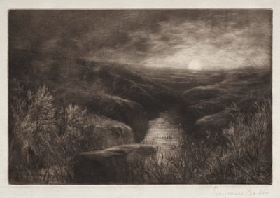 Unterschlupf der Mücke von Francis Seymour Haden