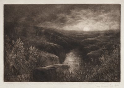 Heimat der Mücke von Francis Seymour Haden