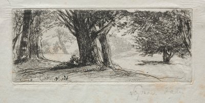 Stechpalmenfeld von Francis Seymour Haden