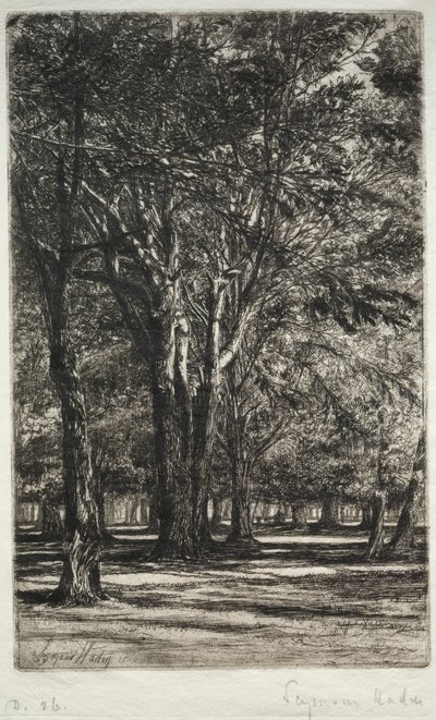 Kensington Gardens (Die größere Platte) von Francis Seymour Haden