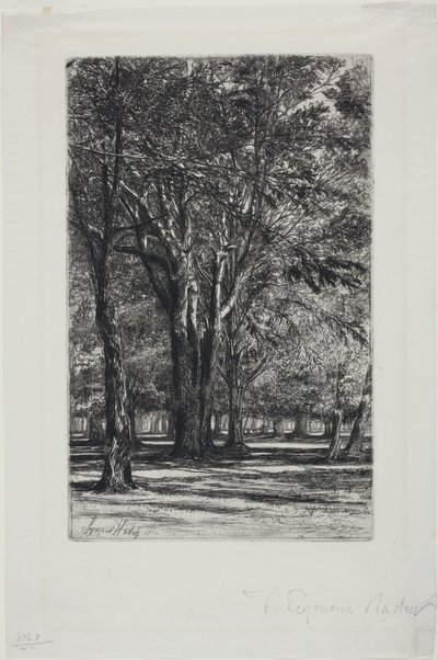 Kensington Gardens, Nr. II (große Platte) von Francis Seymour Haden