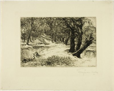 Die drei Schwestern von Francis Seymour Haden