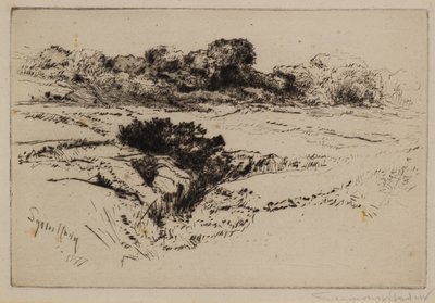Windmühlenhügel Nr. 2 von Francis Seymour Haden