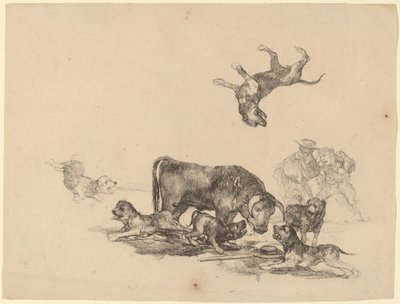 Stier von Hunden angegriffen von Francisco de Goya
