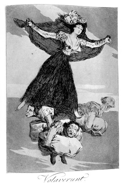 Sie sind geflogen, 1799 von Francisco de Goya