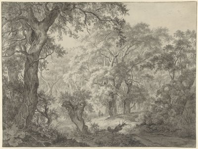Waldlandschaft von Franciscus Andreas Milatz