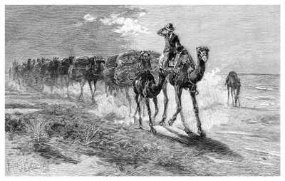 Kamele tragen Wolle, 1886 von Frank P. Mahony