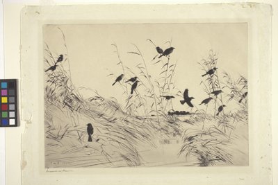 Amseln und Binsen von Frank Weston Benson