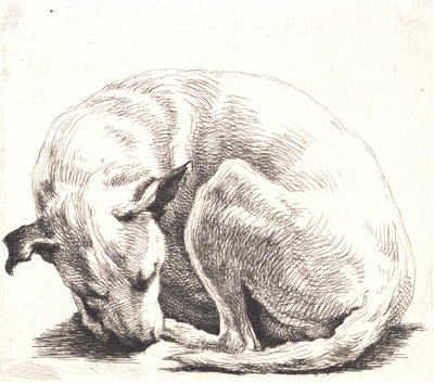 Probeplatte: Ein Hund von Frans Schwartz