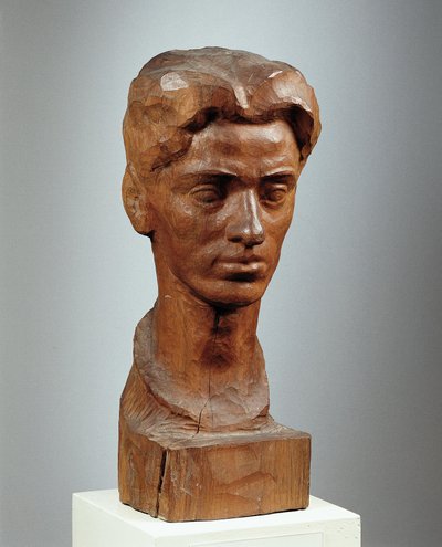 Rudolf Pleban von Franz Blum