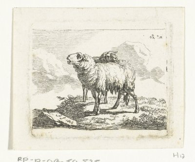 Zwei stehende Schafe von Frédéric Théodore Faber