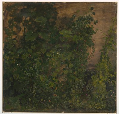 Zeichnung, Dschungelvegetation, 1865 von Frederic Edwin Church