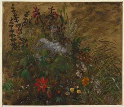 Blumen in Jamaika von Frederic Edwin Church
