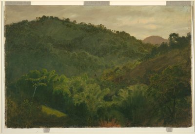 Landschaft aus Jamaika von Frederic Edwin Church