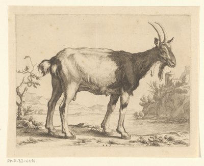 Ziege (Das Zeichenbuch von Abraham Bloemaert, Serie) von Frederick Bloemaert