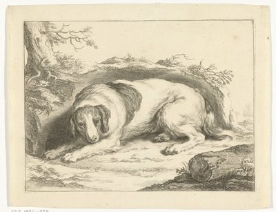Spaniel von Frederick Bloemaert