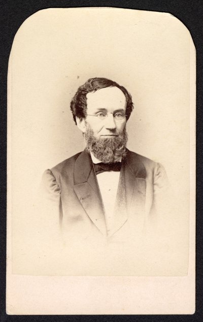 Porträt eines unbekannten Mannes, ca. 1860er von Frederick Gutekunst