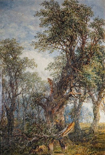 Der gebrochene Ast, 1881 von Frederick Henry Henshaw