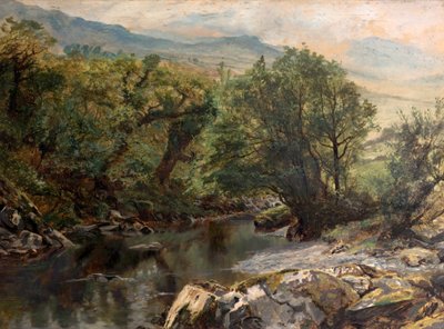 Teich in Colwyn, Nordwales von Frederick William Hayes